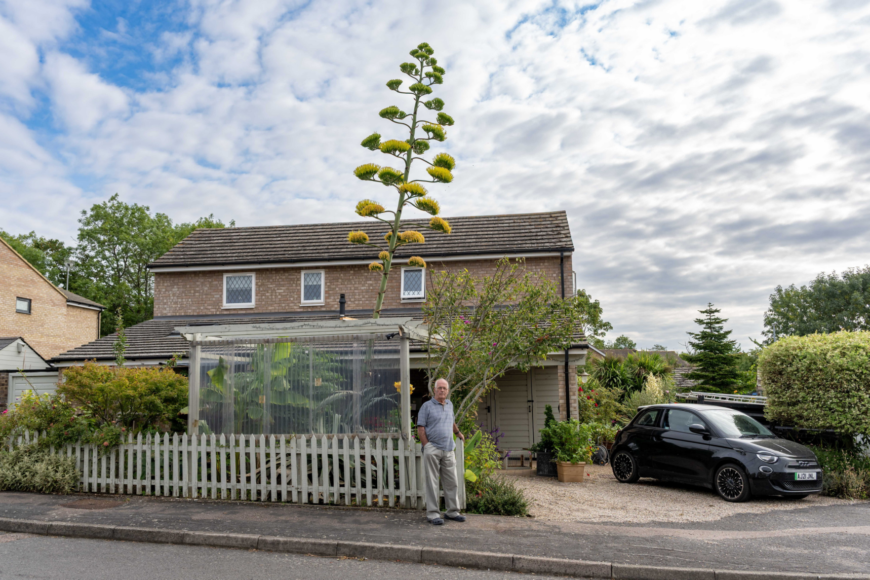 Giant, rare plant finally blossoms after 25 years